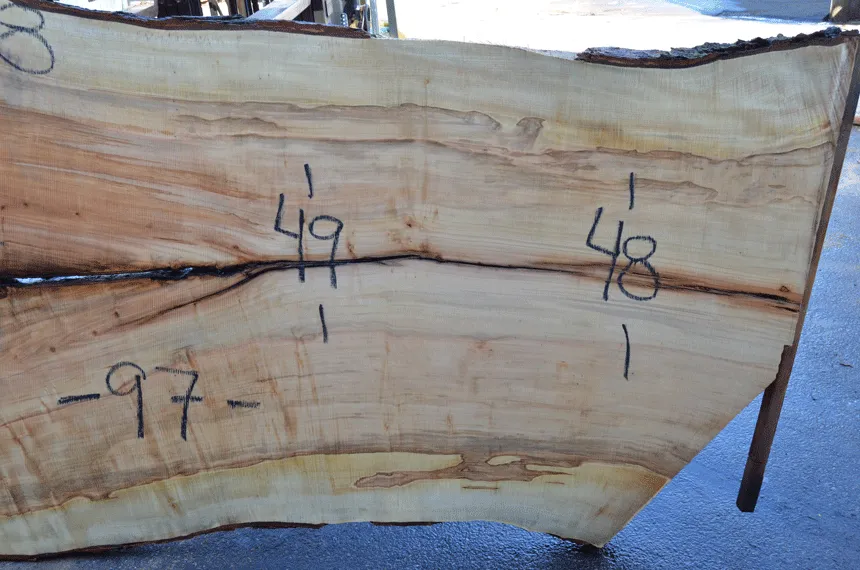 Big Leaf Maple Slab 031920-08