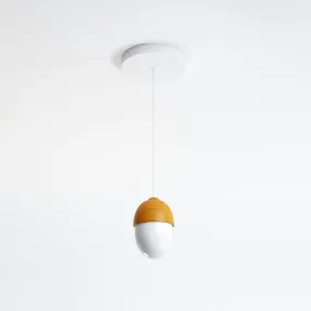 Castanea Pendant Light