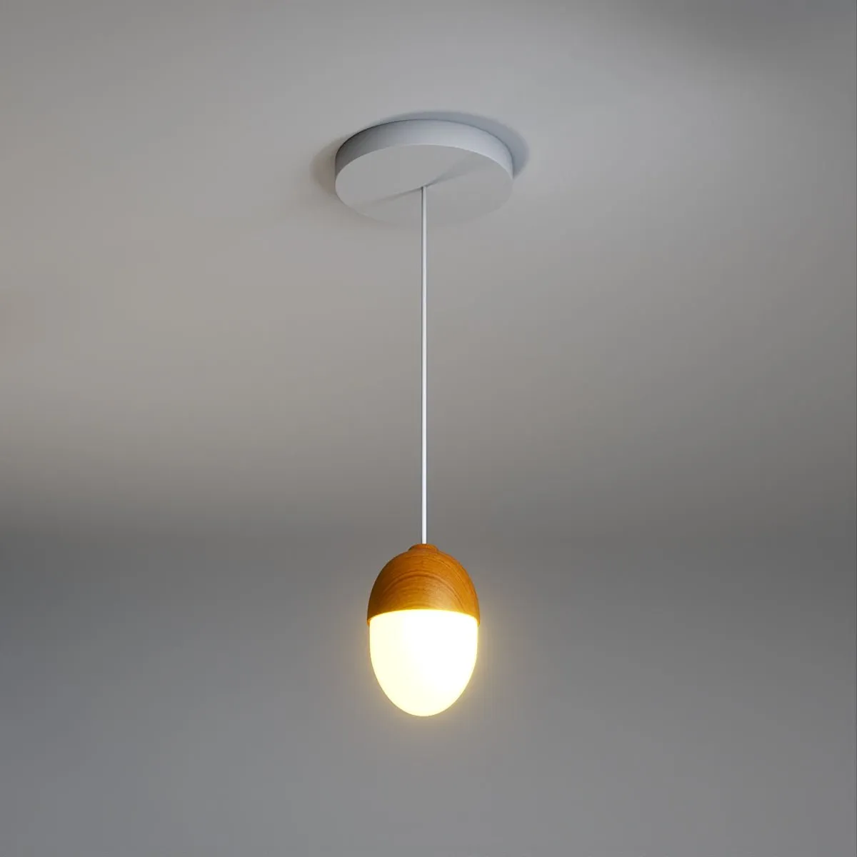 Castanea Pendant Light