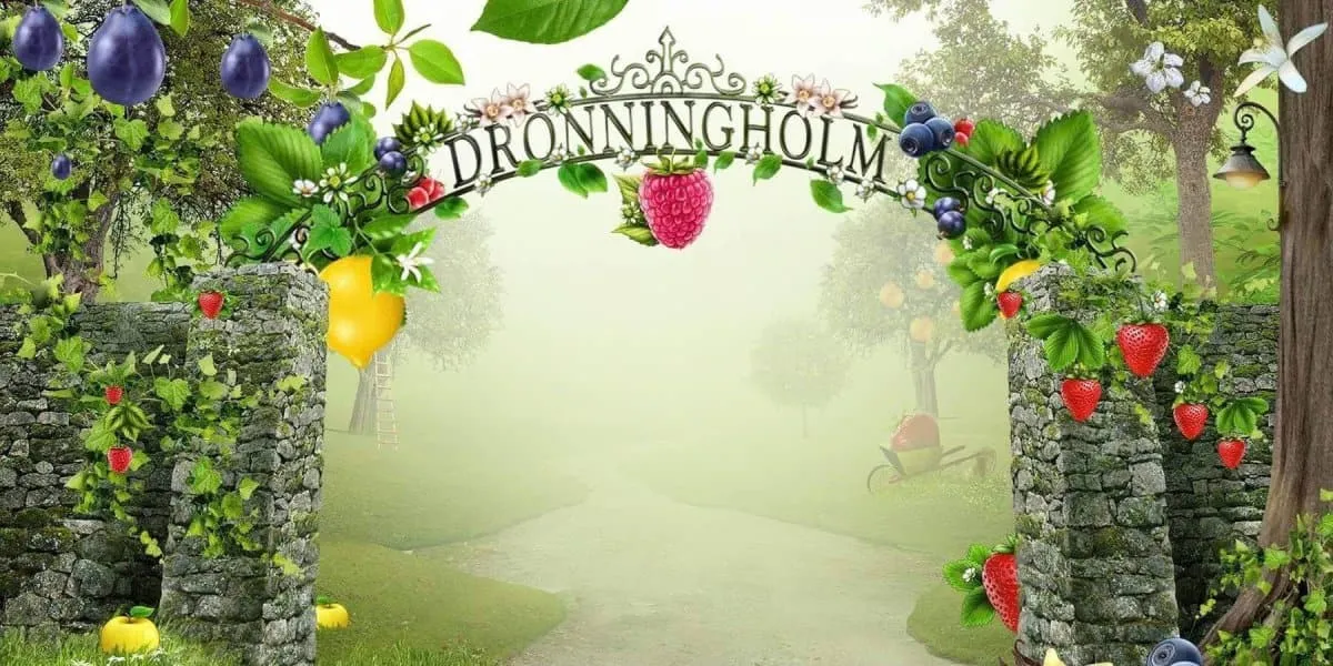 Dronningholm Cherry Jam 340g