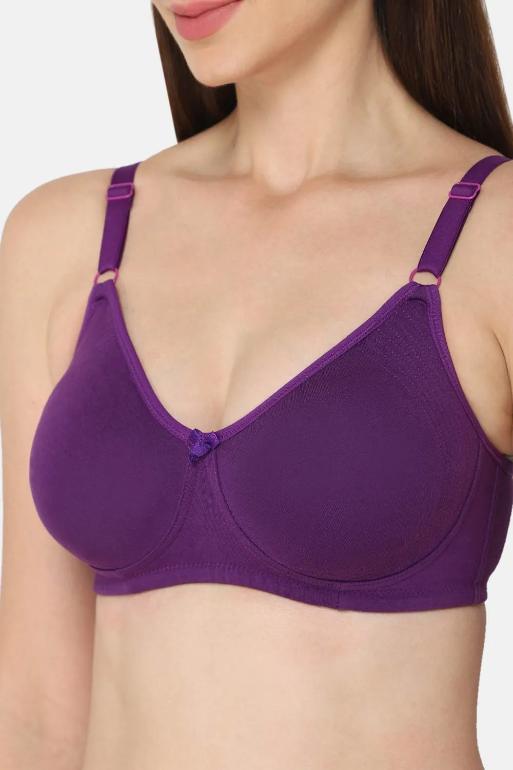 Intimacy Everyday-Bra Special Combo Pack - EC06 - C34