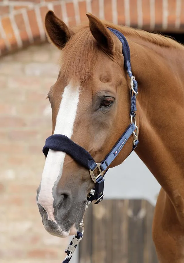 PEI Fleece Padded Headcollar