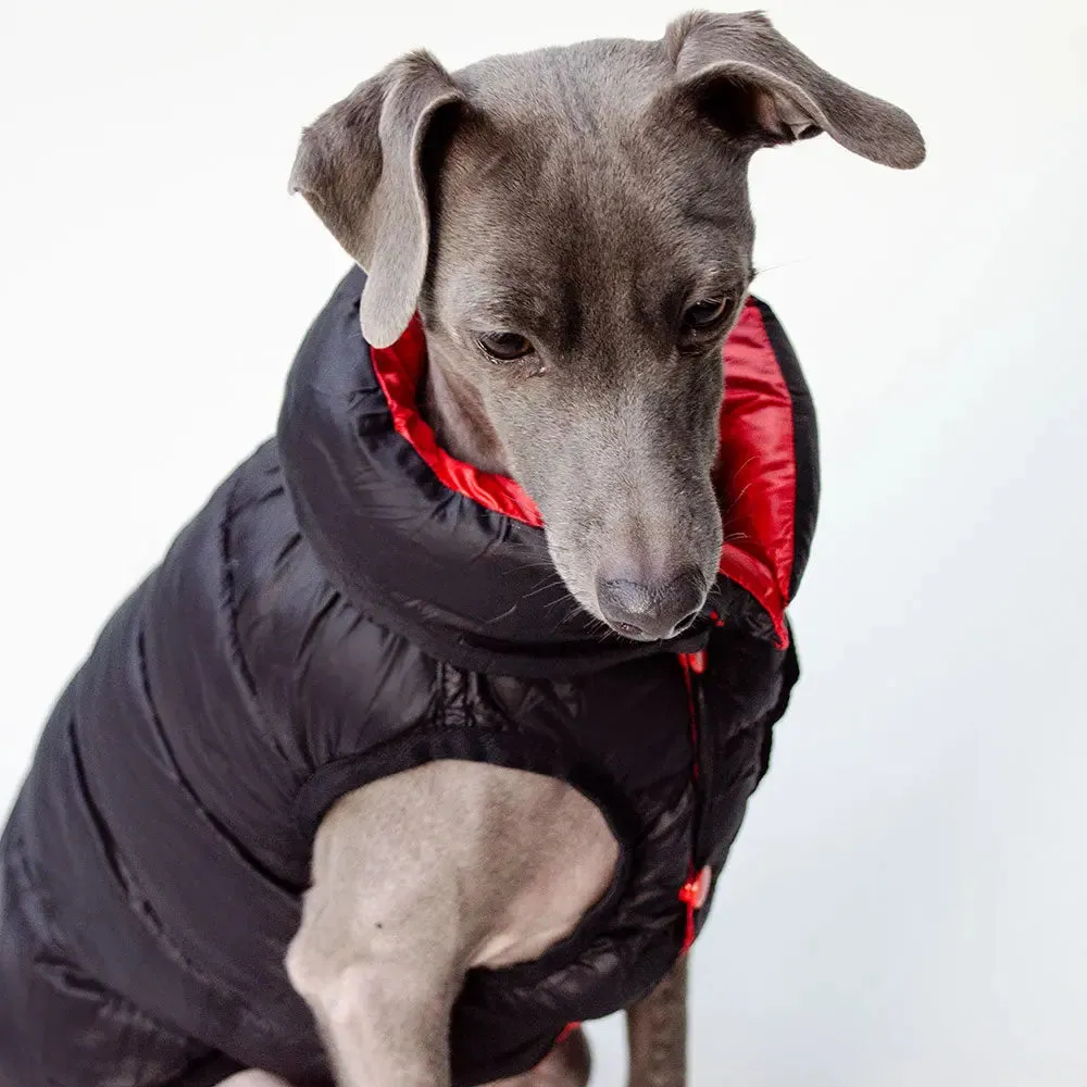 "CHERRY" die Wendejacke für Hunde