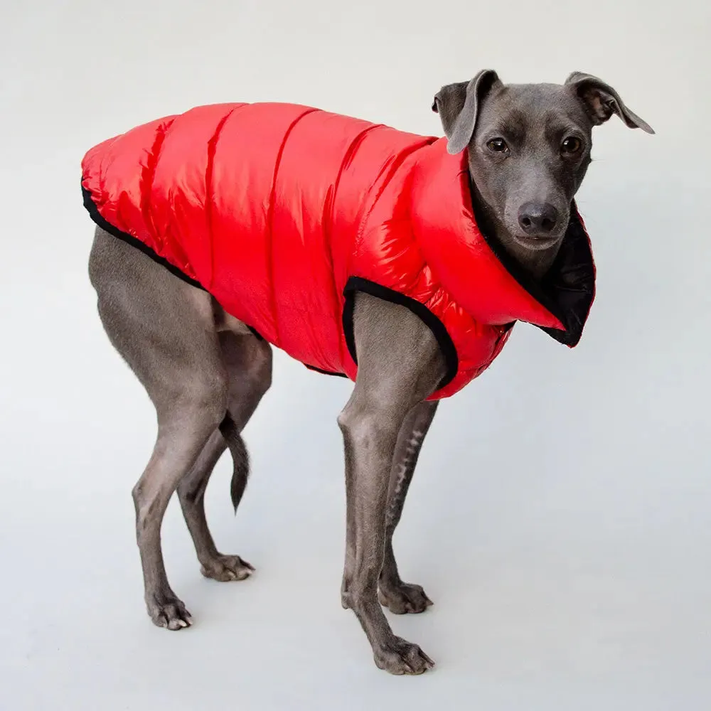 "CHERRY" die Wendejacke für Hunde