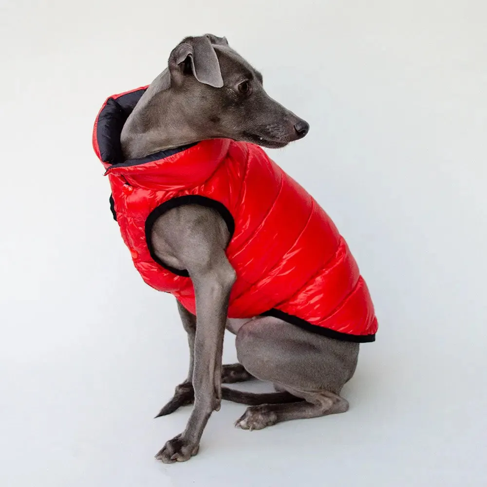 "CHERRY" die Wendejacke für Hunde