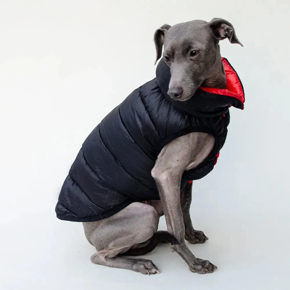 "CHERRY" die Wendejacke für Hunde