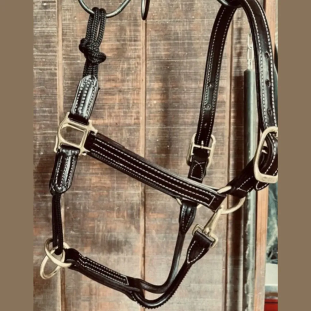 Walsh Rope Nose British Halter